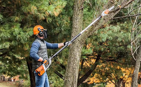 STIHL pole pruner being used by a worker to cut tree branch